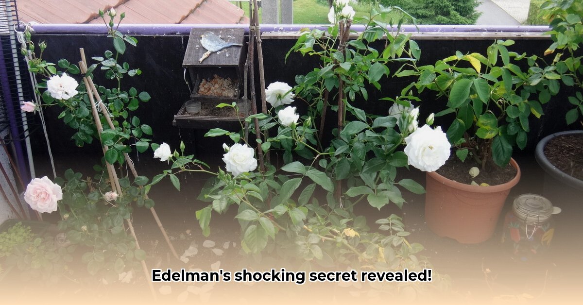 de-edelman-staat-achter-het-vlugschrift